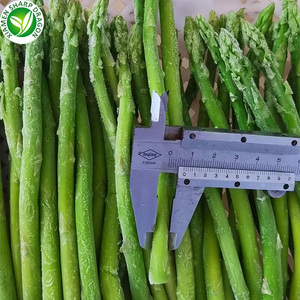 Asperges biologiques de serre Grade pelé congelé IQF un carton de 10kg en vrac Chine SD - Product Image 6