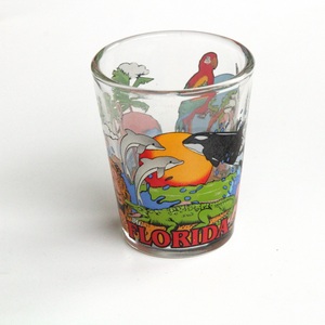 Bán buôn tùy chỉnh giá rẻ logo in Florida USA lưu niệm du lịch cá nhân cốc thủy tinh - Product Image 3