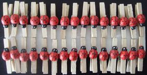 <span class=keywords><strong>Mini</strong></span> artisanat 6 pièces/ensemble pinces <span class=keywords><strong>à</strong></span> <span class=keywords><strong>linge</strong></span> en <span class=keywords><strong>bois</strong></span> <span class=keywords><strong>épingles</strong></span> <span class=keywords><strong>à</strong></span> <span class=keywords><strong>linge</strong></span> en <span class=keywords><strong>bois</strong></span> de pin pour armoire et sac outils de blanchisserie décoratifs - Product Image 3