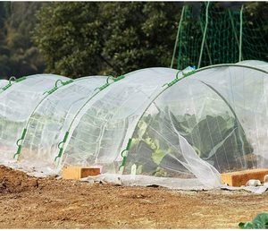 Serre tunnel de jardin mini avec cadre métallique et filet anti-insectes, écologique, pour plantes de jardin - Product Image 6