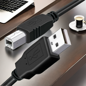 High-Speed V2.0 Type a to B <strong>USB</strong> <strong>Printer</strong> <strong>Cable</strong> - Product Image 2