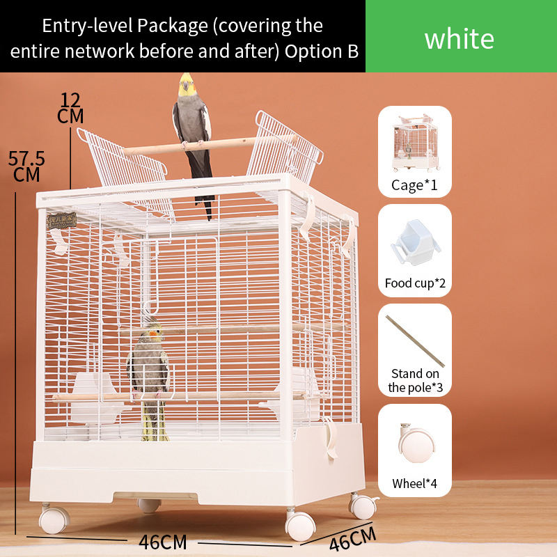 Model b entry edition (front and rear full network)