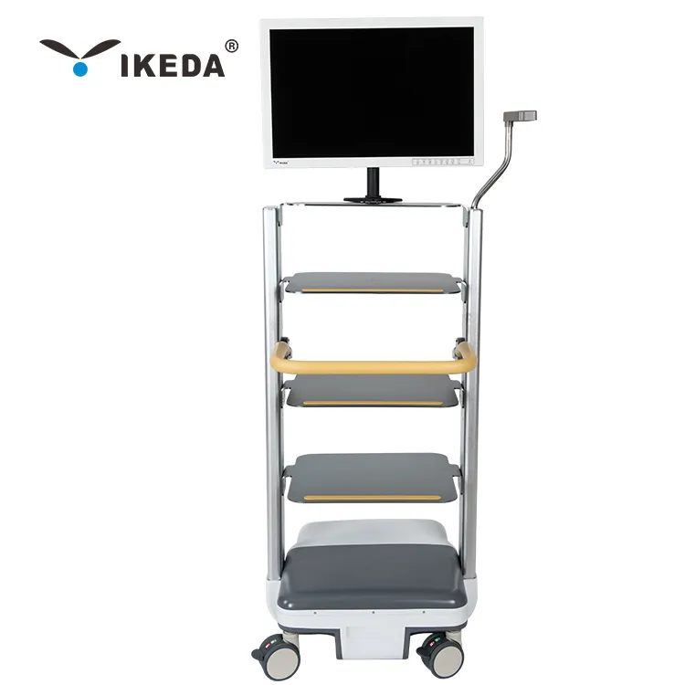 strong metal plate structure Multifunctional trolley