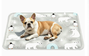 Cartoon Pet Cooling <b>Mat</b> Breathable Waterproof Collapsible Plastic Pet Pad Soft Anti-Slip for Dogs and <b>Cats</b> in Summer - Product Image 4