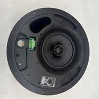 Système de musique avec haut-parleur de plafond professionnel 6,5'' 100W