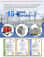 Transformateur triphasé monté sur socle 800KVA 1000KVA 1250KVA 1500KVA 15KV 480Y277V à bain d'huile pour bâtiments commerciaux