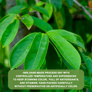 Pacote Personalizado OEM de Folhas de Graviola Orgânica Secas, 28 Saquinhos de Chá de Graviola para Digestão - Product Image 5