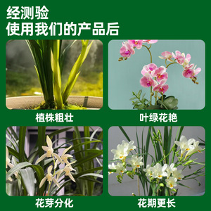 Polisacárido de Orquídea Cpai 300ml, Fertilizante Listo para Rociar, para Enraizamiento, Germinación y Promoción de Floración - Product Image 5