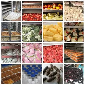 Secador industrial para congelar de alimentos, china, frutas, carne, congelamento, seco, lyophilizador, frutas, congelamento