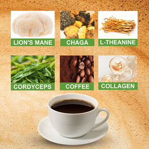 Best Selling Mushroom Coffee <b>Blend</b> Powder Contains Chaga With Theanine Boost Mental Concentration Mushroom Infused Coffee Powder - Product Image 4