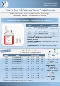 Medio de Cultivo Plástico Sin Suero YUNTUO BIO YM003 para Células Madre Hematopoyéticas Humanas (hMSCs) en Cultivo In Vitro - Product Image 4