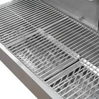 Rôtissoire à charbon de bois pour cuisine extérieure, hauteur réglable, portable, pour porc, agneau, poulet