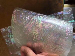 แผ่นไม้อัดลามิเนตเปลือก <span class=keywords><strong>Awabi</strong></span> ญี่ปุ่นธรรมชาติใหม่สําหรับเฟอร์นิเจอร์ฝังอุปกรณ์กีตาร์ - Product Image 4