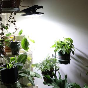 Lámpara Solar LED con Clip, Sensor de Movimiento para Exteriores, Lámpara Solar Impermeable IP65 para Cercas, Terrazas y Paredes - Product Image 4