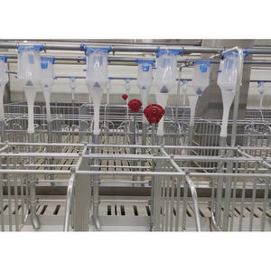 Fábrica China nueva caja de gestación de cerdo de acero galvanizado por inmersión en caliente de alta calidad con diseño de puerta trasera para granja de cerdos - Product Image 4