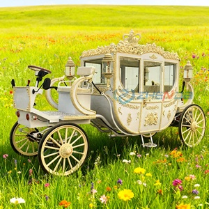 White Royal Horse Carriage Wagon Electric Pumpkin Horse Drawn Carriage Leisure Price Luxury Henan Origin - Product Image 4