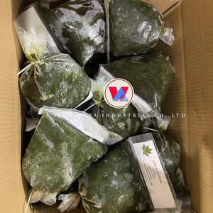 Puré de Hoja de Yuca Congelado a Granel |   Hojas 100% Naturales |   Envasado al Vacío |   Proceso LQF |   Listo para Usar |   Proveedor VDELTA Vietnam - Product Image 1