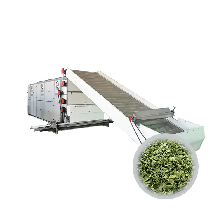 New Technology Machine For Drying Grass Dryer For Sale Cost Low Investment High Processing Alfalfa Hay Dry Grass Mesh Belt Dryer