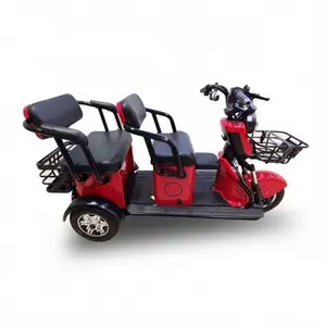 China Factory Cheap 40Km Electric Trike Felgen For Cargo Delivery