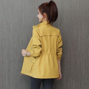 Chaqueta cortavientos de forro polar de doble capa Gali 2026, nueva, estilo coreano, casual, con control de cintura, adelgazante, para mujer pequeñ<span class=keywords><strong>a</strong></span>, primavera y otoño, con gorro elegante - Product Image 3