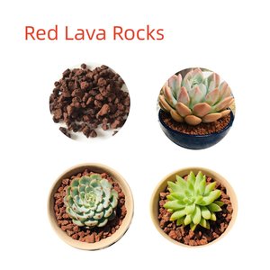 Aggregato di Roccia Lavica ROSSA Premium <span class=keywords><strong>per</strong></span> <span class=keywords><strong>Terriccio</strong></span> Bonsai <span class=keywords><strong>e</strong></span> <span class=keywords><strong>Piante</strong></span> <span class=keywords><strong>Grasse</strong></span> <span class=keywords><strong>e</strong></span> Cactus - Product Image 2
