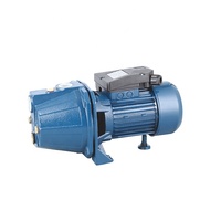 Pompe à eau électrique OEM JET Booster haute pression auto-amorçante avec turbine en laiton et bobine 100% cuivre pour traitement de l'eau potable 1
