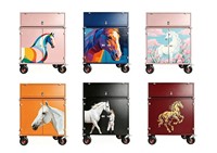 Armoire de rangement extérieure robuste en acier pour équipement équestre, style moderne et personnalisé