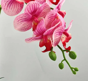 Piccola Pianta Artificiale di Orchidea Phalaenopsis - Fiore Finto in <span class=keywords><strong>Vaso</strong></span> Ecologico Sempreverde Senza Necessità di Irrigazione per Capodanno, Laurea, Pasqua - Product Image 6