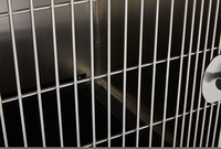 Cage de pension pour animaux de compagnie moderne en acier inoxydable avec séparateurs mobiles combinables, plateau en plastique, emballée en boîte YM-KA505L