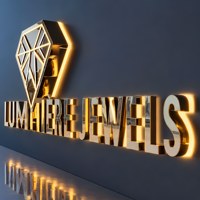 Enseigne Lumineuse LED 3D en Métal Personnalisée avec Logo d'Entreprise, Plaque Publicitaire LED Illuminée en Métal, Vente en Gros Usine