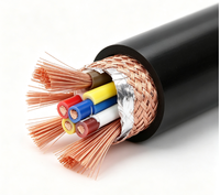 Kabel Kontrol Fleksibel OEM Manufacturer RVVP 300 500V Tahan Api Inti Tembaga Bebas Oksigen Berlapis Pelindung untuk Pembangkit Listrik