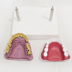 Modelo Comparativo de Dientes de Fumador, Modelo de Exhibición de <span class=keywords><strong>Salud</strong></span> Bucal, Modelo Educativo de Anatomía Dental - Product Image 6
