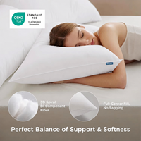 Ensemble de 2 oreillers Queen Size, collection hôtelière, garnissage alternatif, soutien doux pour les dormeurs sur le dos, le ventre ou sur le côté