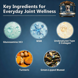 Golosinas Masticables Orgánicas y Seguras para Perros de Raza Grande con Frutas y Zinc para Perros Activos, OEM/ODM - Product Image 3