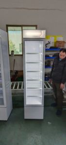 NUELEAD Commercial Single Door Glass Door Refrigerator <strong>Coca</strong> Display <strong>Cola</strong> Beverage Freezer <strong>Fridge</strong> - Product Image 4