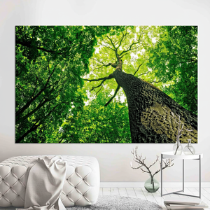 Elegant Boho Decor: Printed Canvas Wall Art for Modern Living,<b>WRAPPED</b> CANVAS - Product Image 3