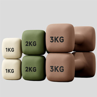 Haltères carrés beiges personnalisés avec logo pour la gym, le Pilates et l'usage domestique, 1 kg à 5 kg, équipement d'entraînement de force en PVC souple