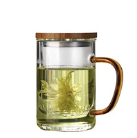 Tasse à café et à thé en verre borosilicate de 10 oz faite à la main avec infuseur, couvercle en bambou de luxe et ensemble de gobelets en bois, verrerie artisanale