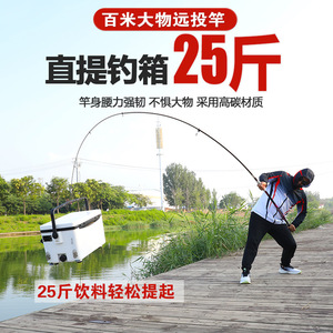 Canne à pêche Daiwa en fibre de carbone 3,5 m, action moyenne rapide, pour la pêche en eau salée et en rivière - Product Image 3