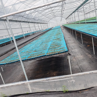 Serre multi-spans à bas prix pour tomates, serre personnalisée, cadre en acier galvanisé à chaud, serres pour légumes