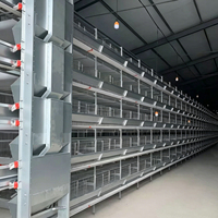 Cage à poulets de type H galvanisée de haute qualité, système de cages en batterie durable pour élevage avicole