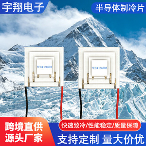 Module de refroidissement semi-conducteur à puce thermoélectrique Yu Xiang TEC3-22903 - Product Image 4