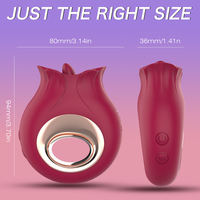 Vibrateur à succion clitoridienne Rose pour femmes, rechargeable par USB, en silicone, étanche, jouet pour adultes, logo personnalisé, OEM, ODM, fournisseur en gros