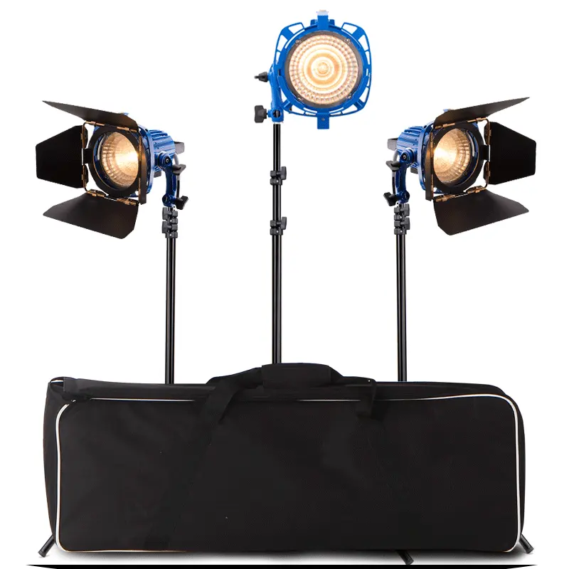 LED 사진 빛 FG-1000W 키트 텅스텐 필라멘트 램프 전구 스튜디오 스탠드