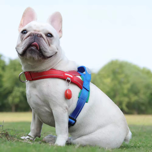 Nuovo Modello di Guinzaglio per Cani con Pettorina e Cinturino Posteriore, Cinghia in Tessuto Più Larga, Patching Abbinato nel Colore, Non Irritante - Product Image 5
