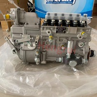 Fuel Injection Pump Assembly 1001830368 for Weichai WP12 WP13 Engine