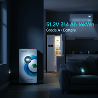 Batterie Lifepo4 VANYO 51.2v 314ah avec protection IP20, 6000 cycles, Powerwall 16KWH, batterie lithium pour stockage d'énergie domestique