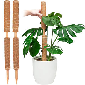 Poteau en mousse enduit de Cocount pour le jardinage domestique-Support de plante de style simple moderne pour une utilisation en serre - Product Image 4