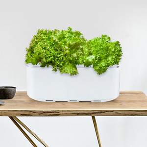 Fabricant vente en gros pot de plantation en plastique intelligent boîte hydroponique arrosage automatique balcon culture de légumes outil des gens <span class=keywords><strong>paresseux</strong></span> - Product Image 3