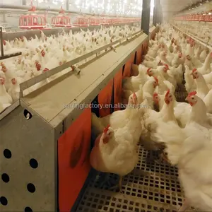 Automatic Chicken Laying Egg Nest Box Chicken Nesting Box Metal Egg Laying Free Range Poultry Farm Chicken Layer Box
